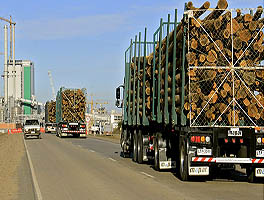UPM camiones-de-maderas