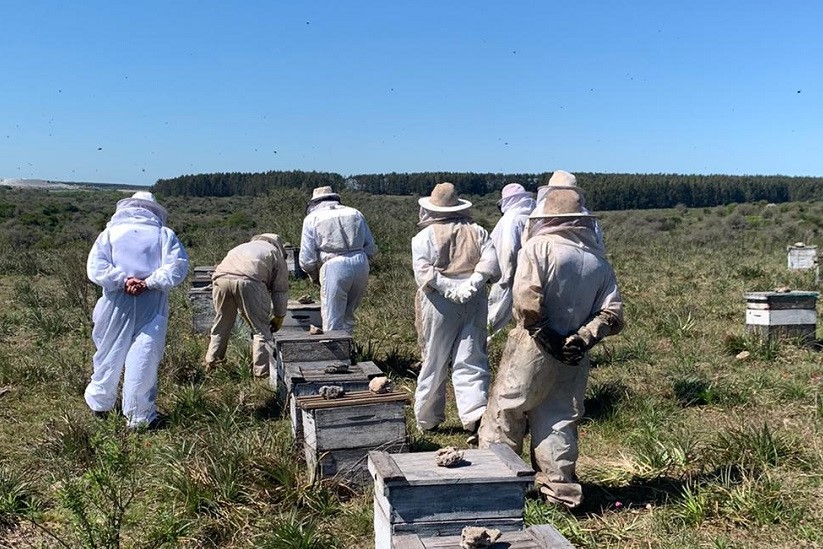 UPM apicultores en UPM
