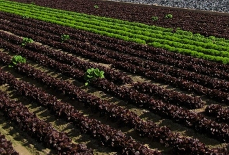 agroecología América Latina
