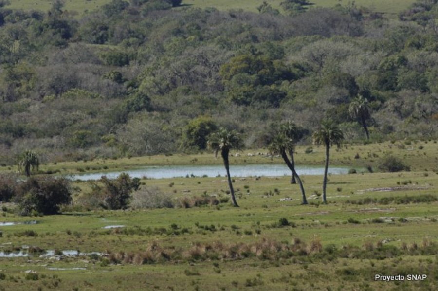 area protegida Mirador Sierra del Río