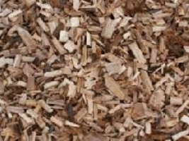 biomasa br