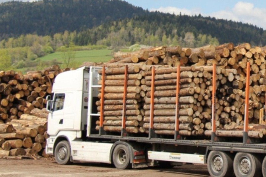 camion con madera