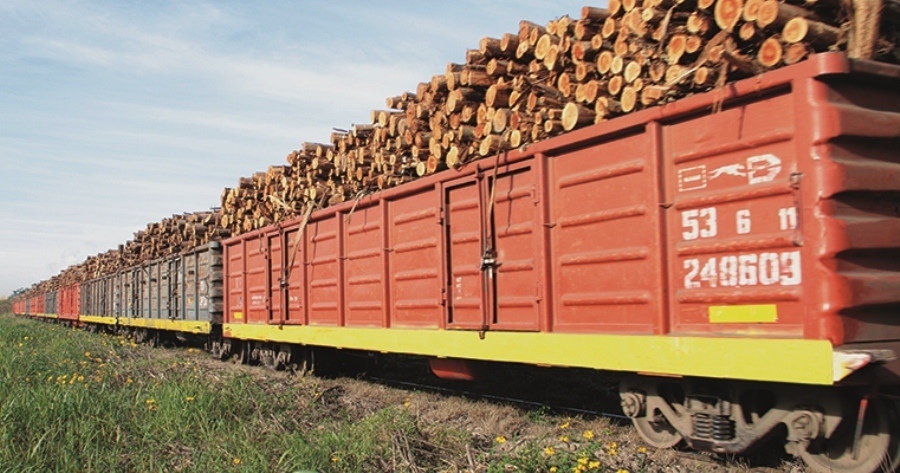 Tren cargado conmadera 