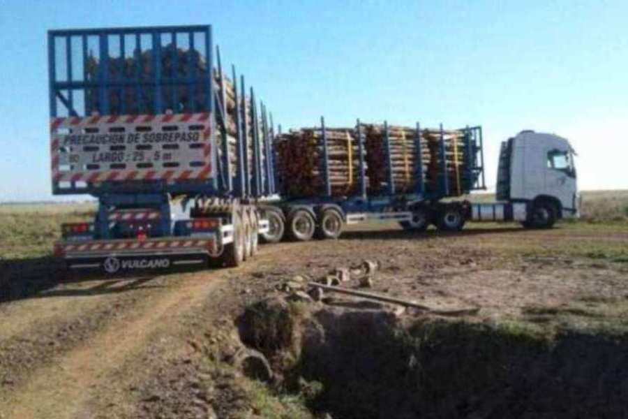 camiones con madera