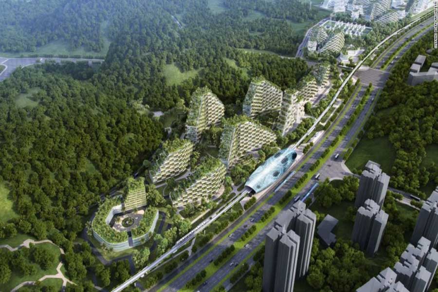 ciudad forestal 2020