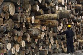 exportaciones de madera
