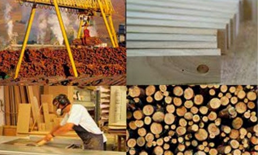 industria de la madera1