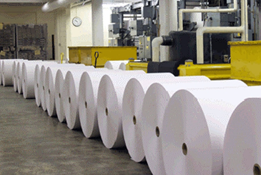 industria pulpa y papel 