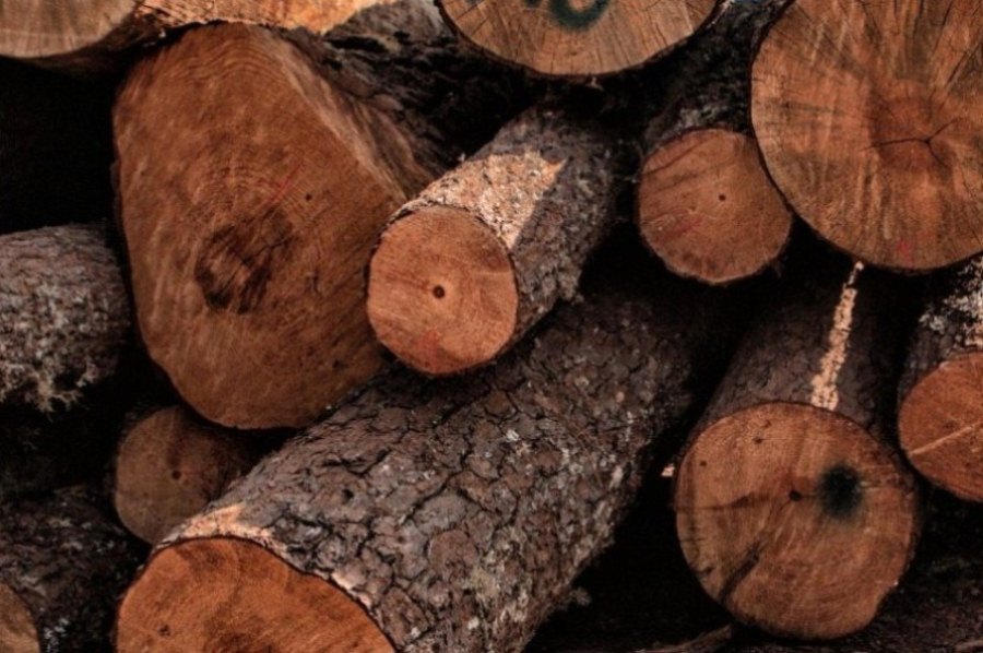 madera sustentable