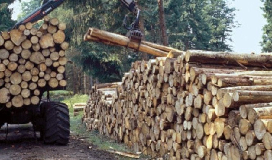 madera ecologia