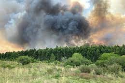 Incendio forestal de Soriano