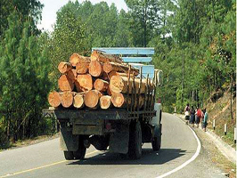 MdelP camion madera