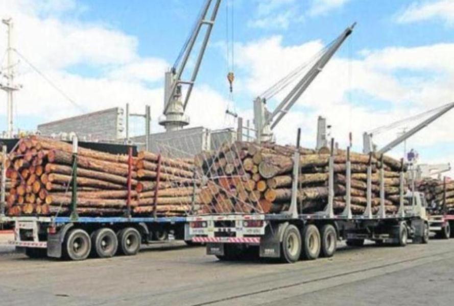 China importó troncos de madera