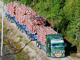 camion madera Finlandia