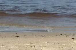 Agua marrón en Punta del Este