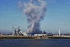 Contaminación de las pasteras