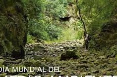 Día Mundial del Medio Ambiente