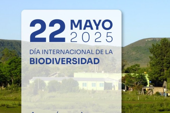 Internacional de la Biodiversidad