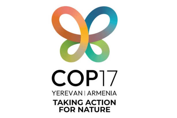 cop 17