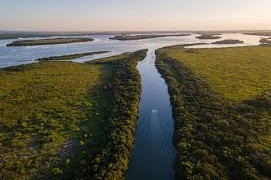 toxicidad del Río Uruguay