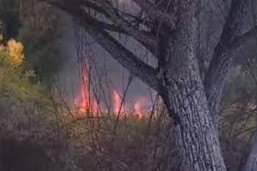 Bomberos trabaja en un incendio