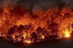 En Europa grandes incendios