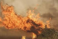 España incendios forestales