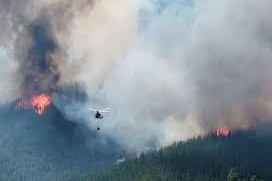 Incendios arrasan hectáreas