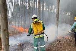 India incendios forestales