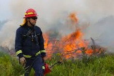 bomberos temporada de verano