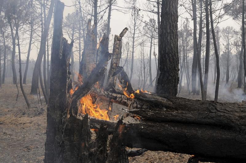 incendio espalña
