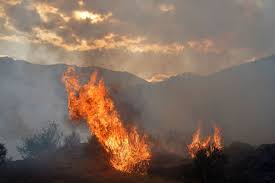 incendios del siglo