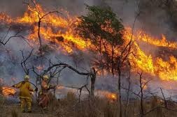 r riesgo de incendios el campo en máxima tensión