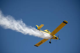 prohíbe la realización de fuegosnaljpg