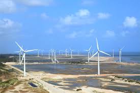 Eólicas marinas demandan a Trump