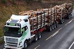 camion madera