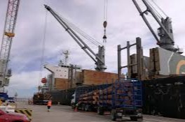 CARGA DE MADERA EN EL PUERTO