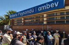 Oddone se reunió con ejecutivos de Ambev