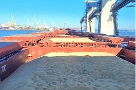 El puerto de Montevideo graneles