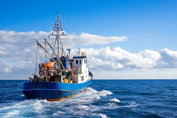 barco pesca