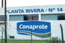 conaprole