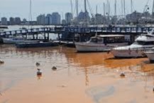 mancha naranja en puerto de Punta del Este