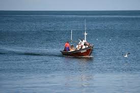 pesca
