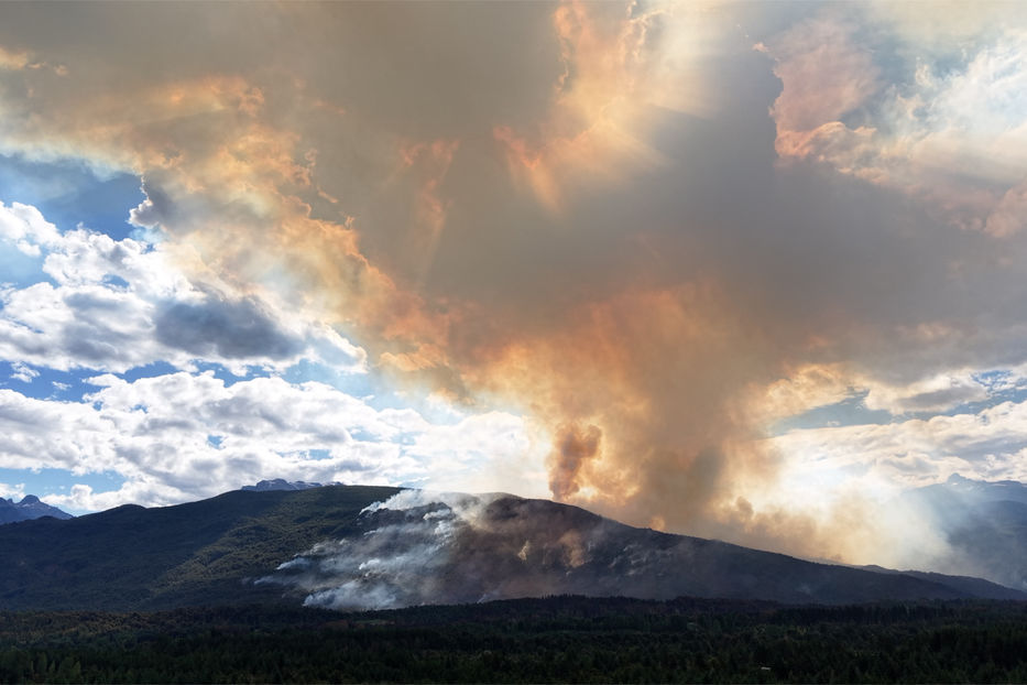 incendio patagonia