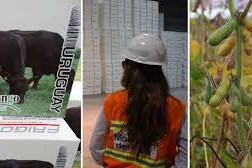 Ingresos por exportaciones