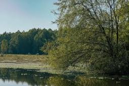 La biodiversidad
