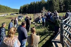 UPM impulsaron control de garrapata en ganado vacuno