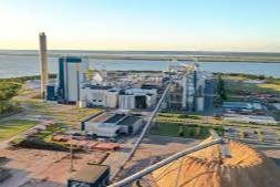 UPM pide aumentar producción