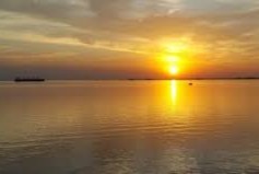 UPM vertidos al río Uruguay