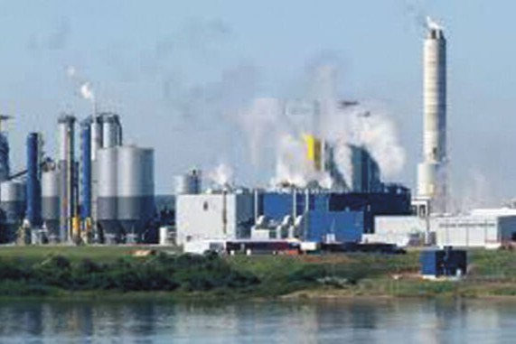 s exportaciones de celulosa